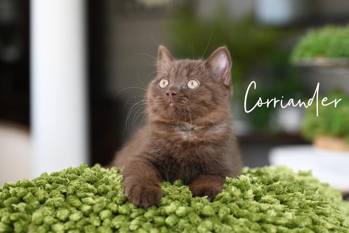 WhatsApp Image 2024-12-23 at 23.43.31 (1)