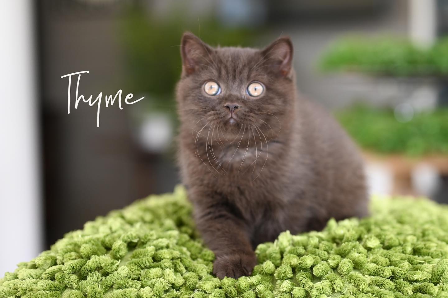 WhatsApp Image 2024-12-23 at 23.43.31 (2) – Copy