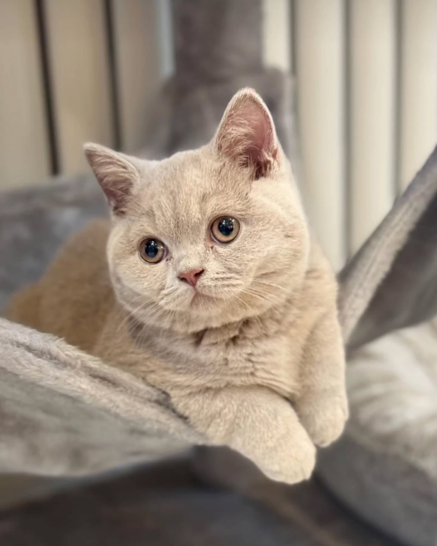 WhatsApp Image 2024-12-23 at 23.43.32 (2)