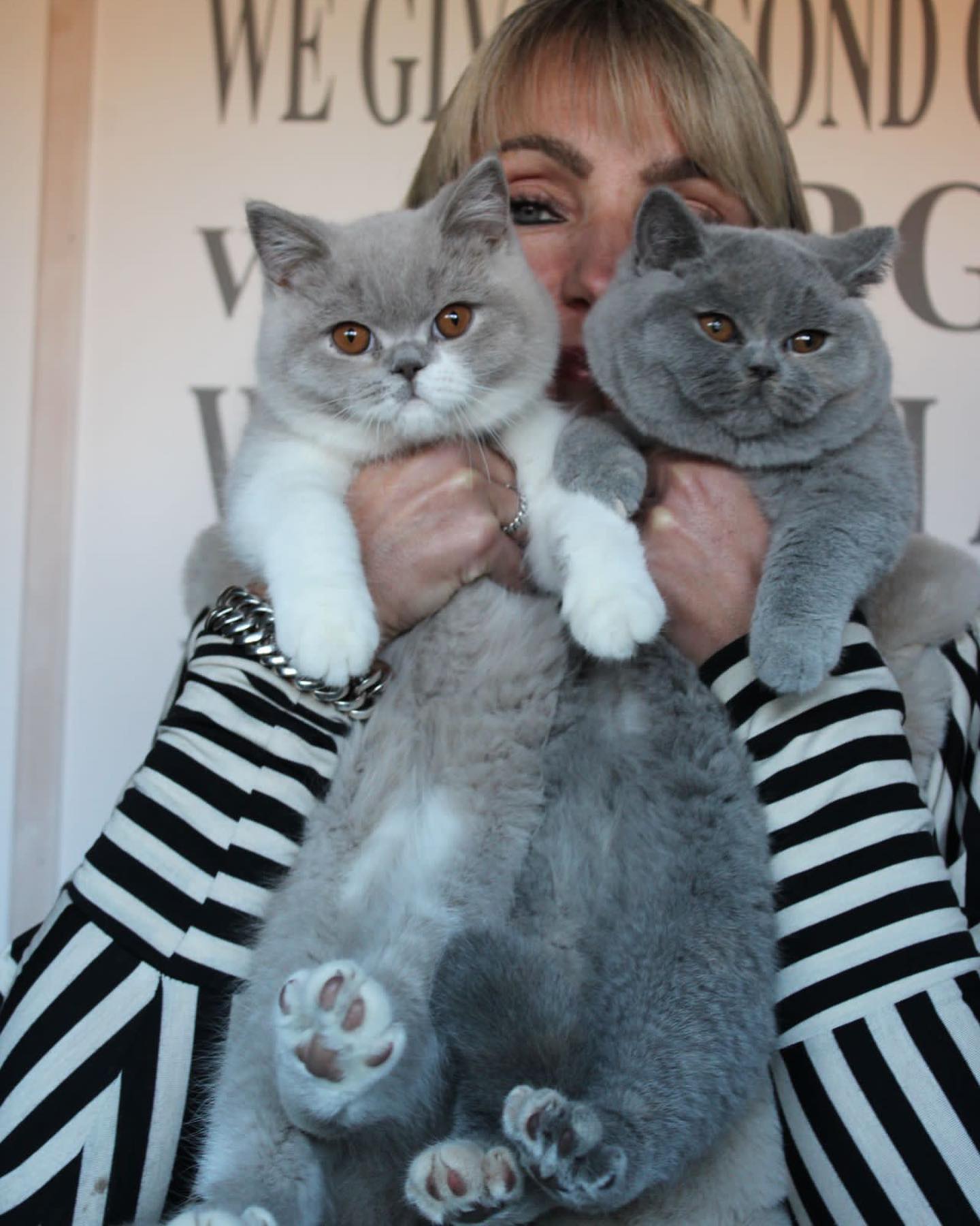 WhatsApp Image 2024-12-23 at 23.43.32 (3)