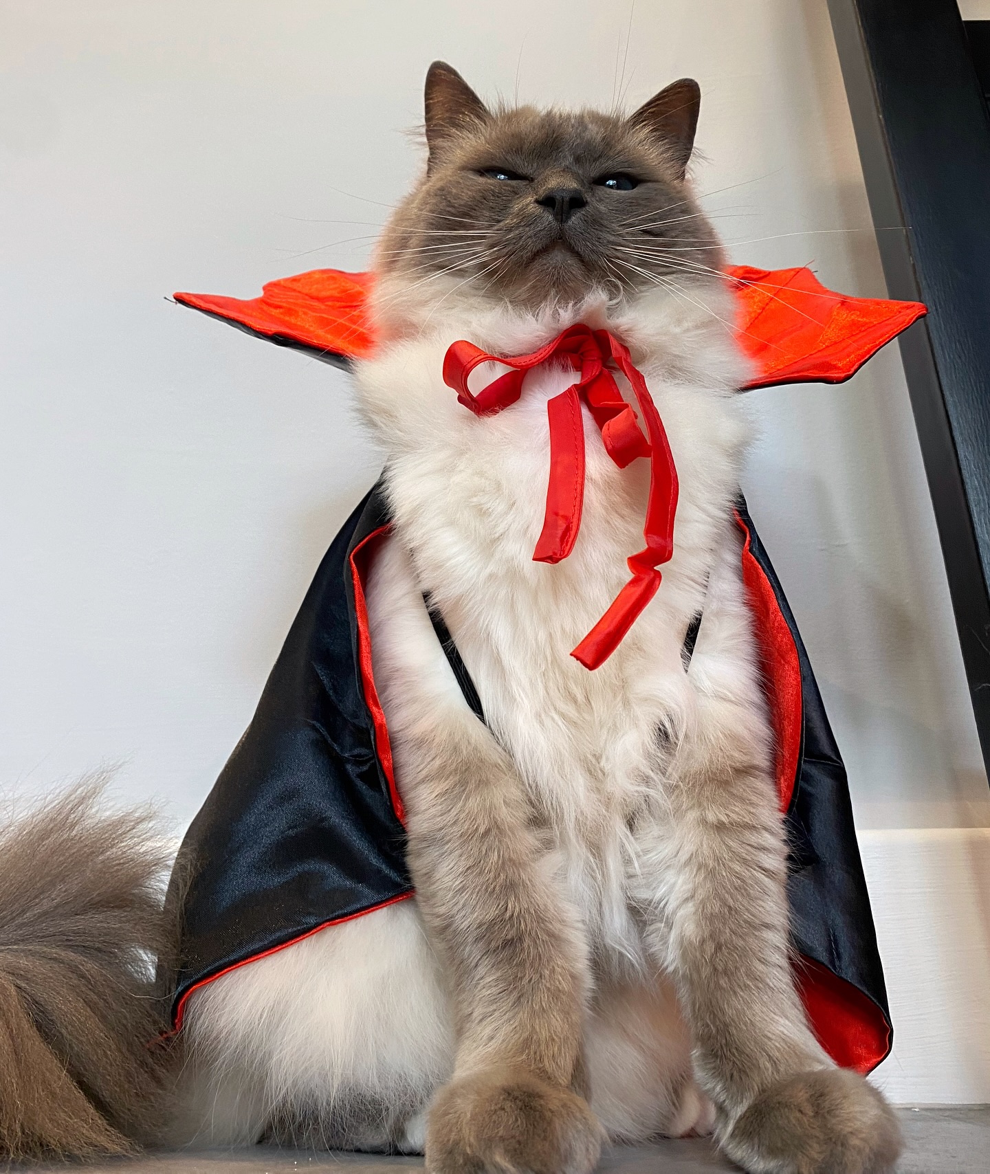 WhatsApp Image 2024-12-23 at 23.43.33