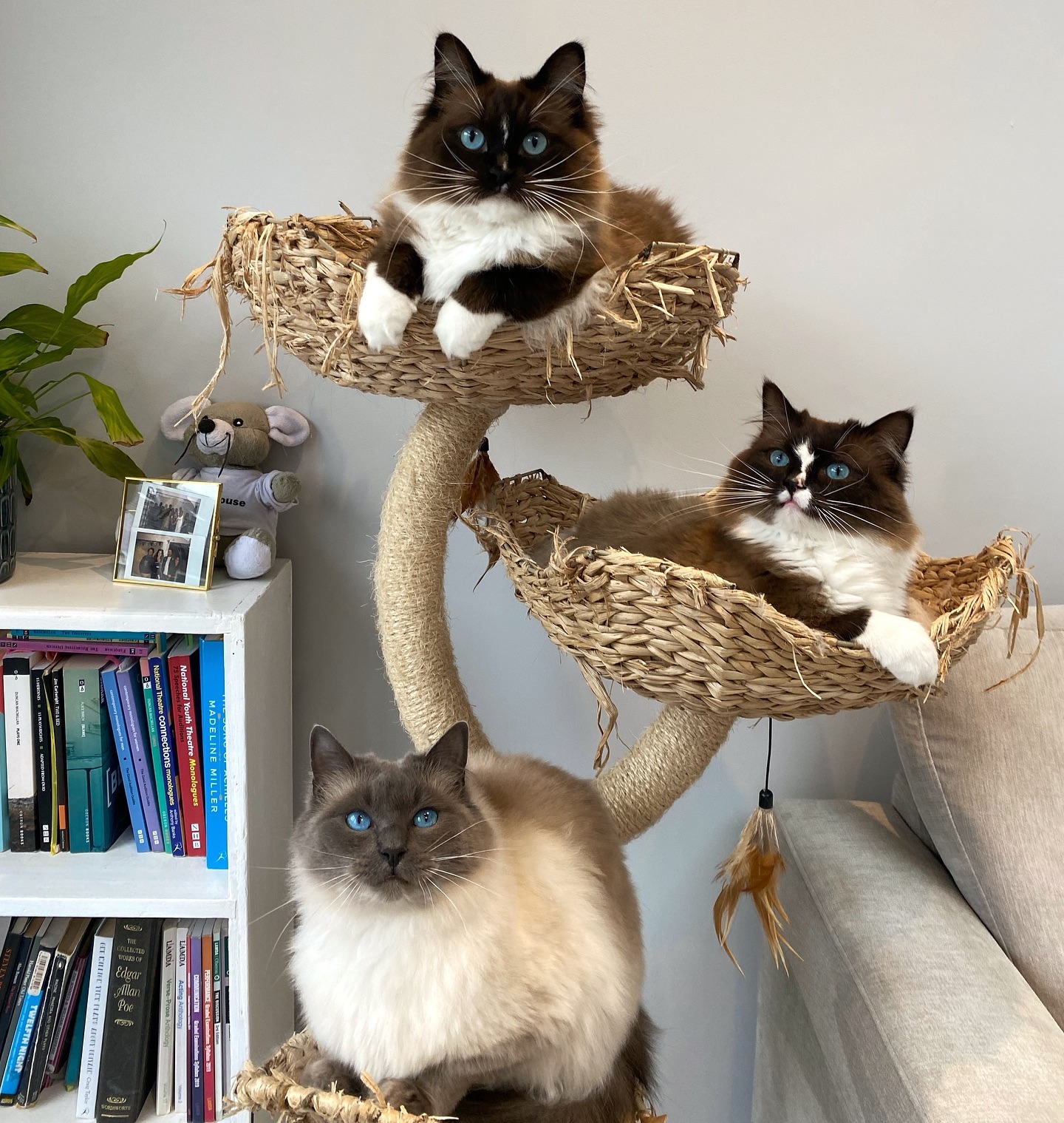 WhatsApp Image 2024-12-23 at 23.43.35 (1)