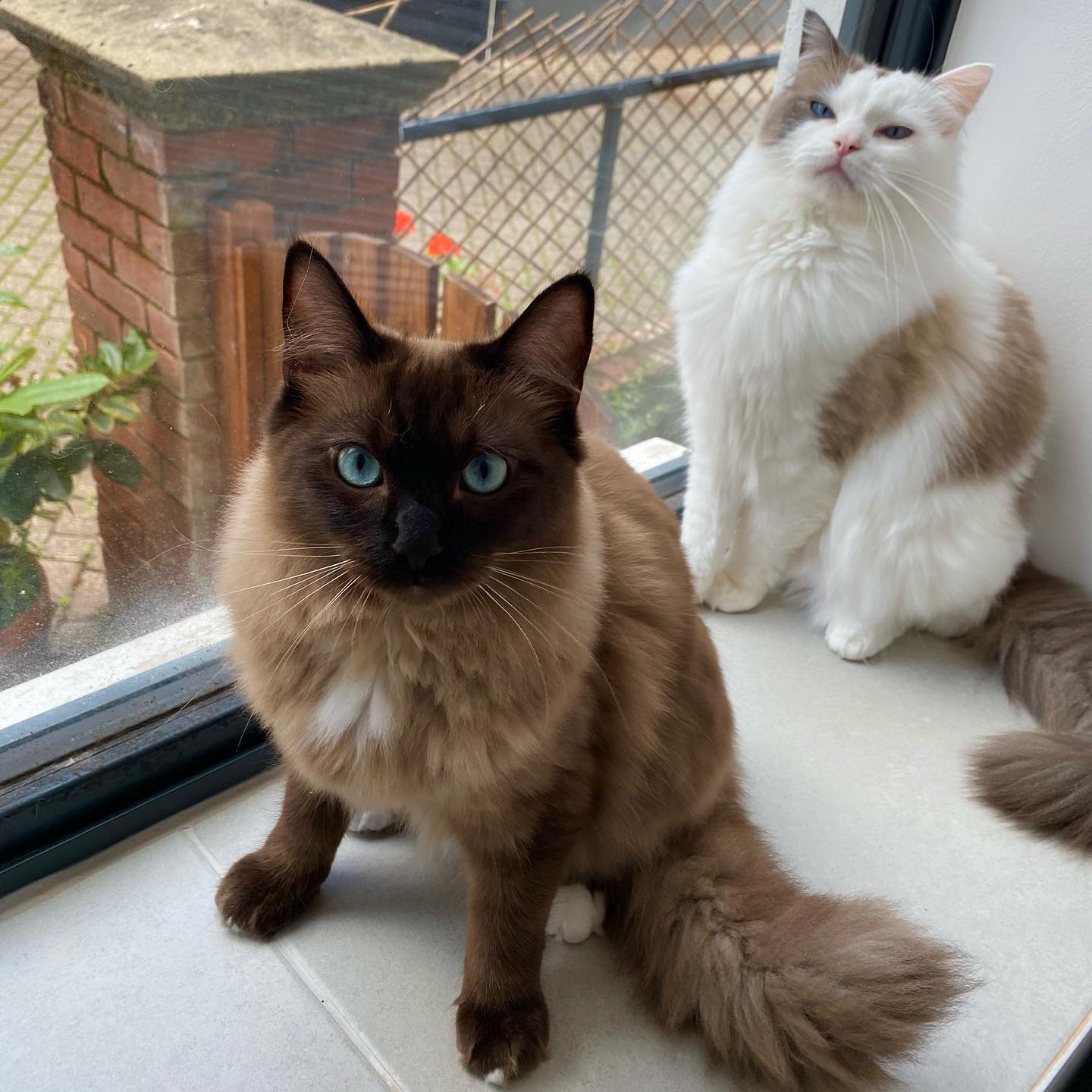 WhatsApp Image 2024-12-23 at 23.43.35