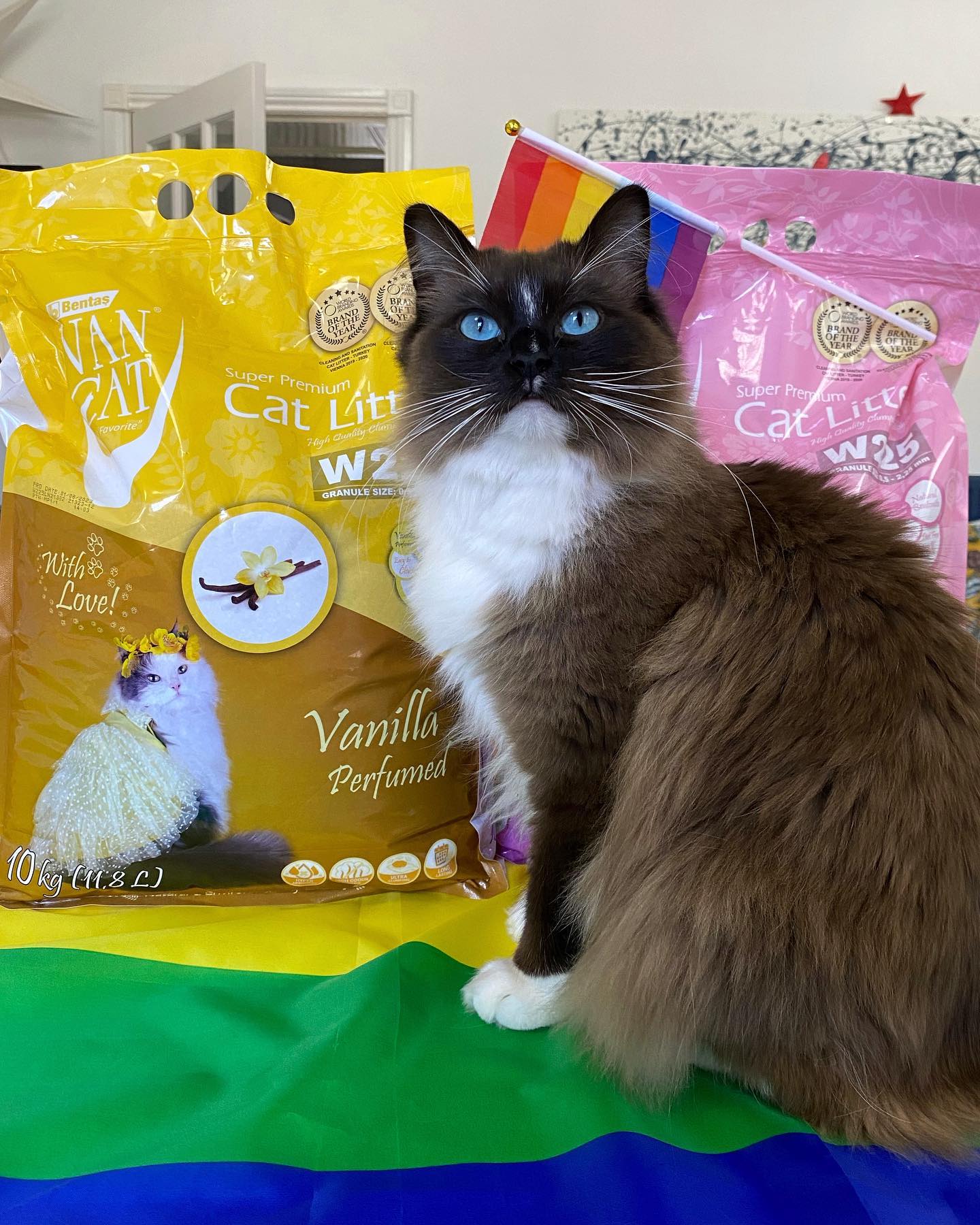 WhatsApp Image 2024-12-23 at 23.43.36 (1)