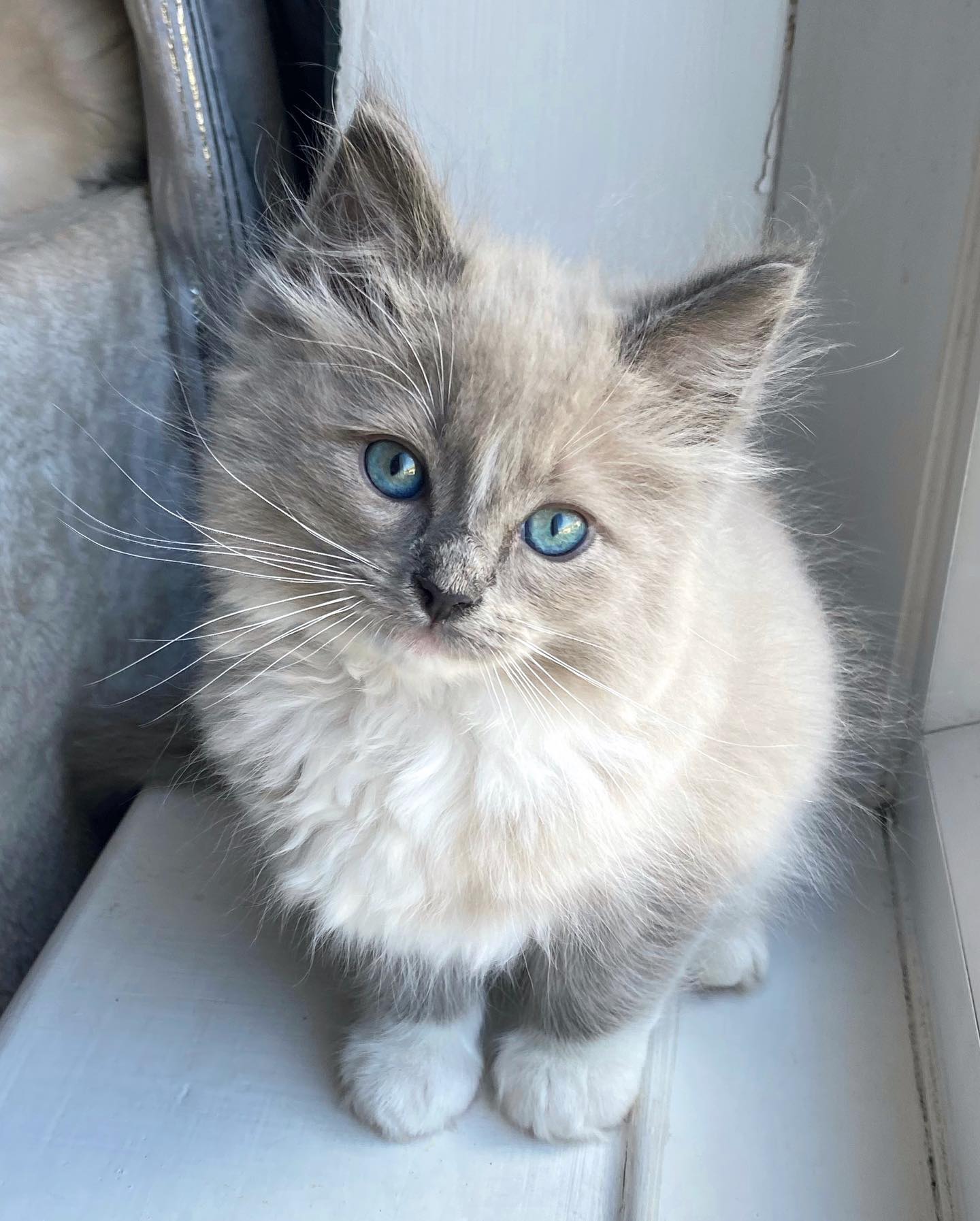 WhatsApp Image 2024-12-23 at 23.43.36 (2)