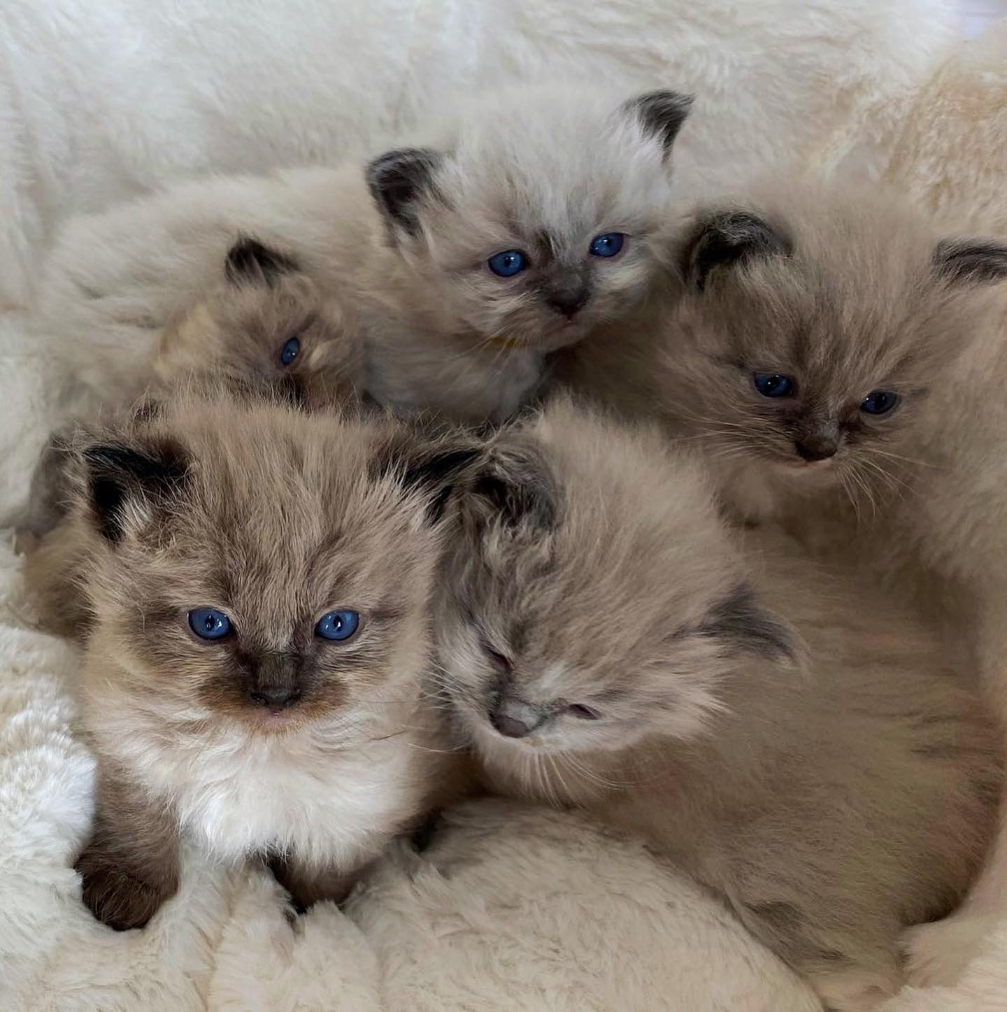 WhatsApp Image 2024-12-23 at 23.43.37