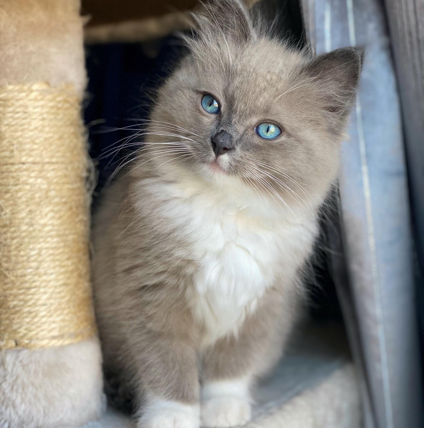 WhatsApp Image 2024-12-23 at 23.43.38 (1)