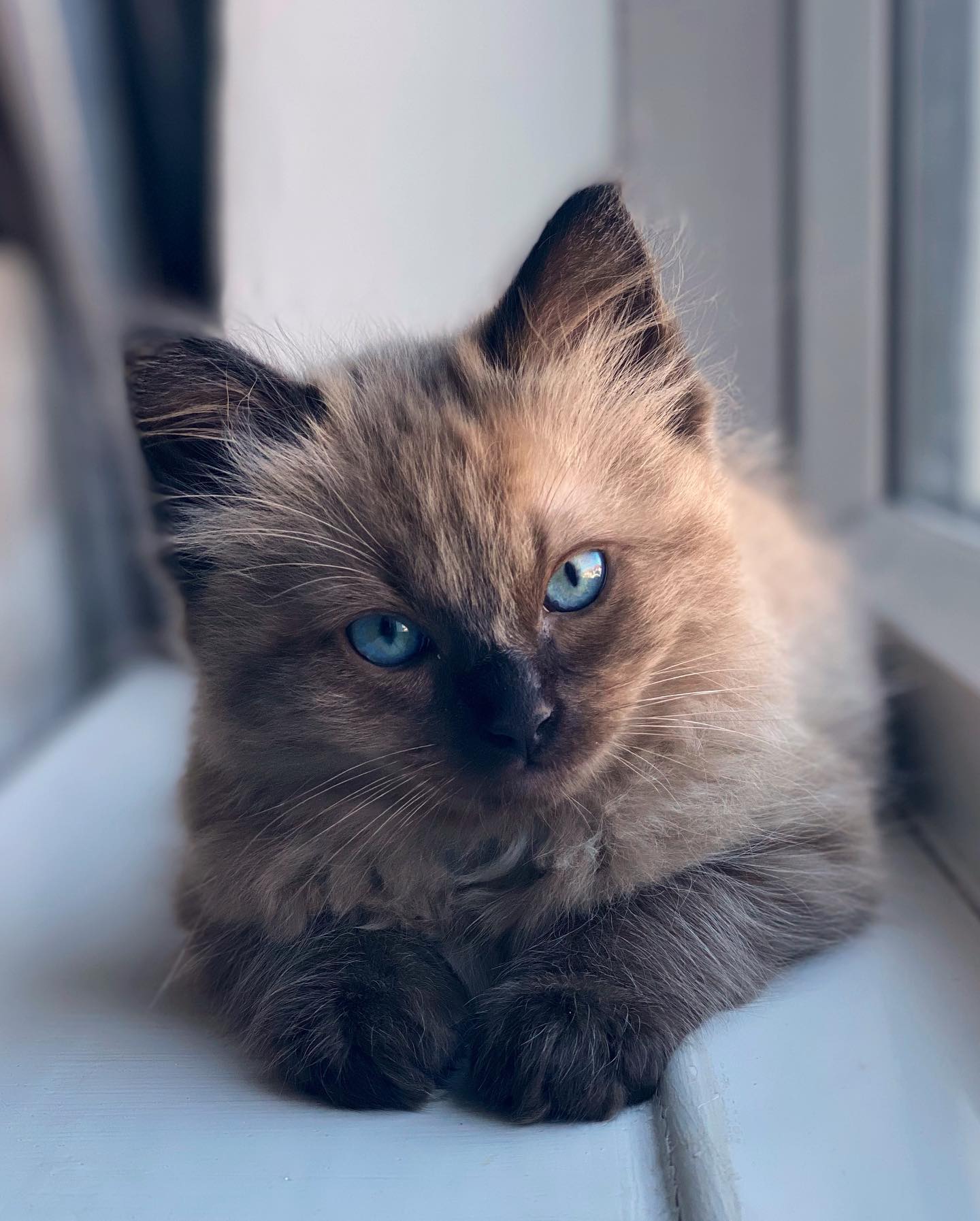 WhatsApp Image 2024-12-23 at 23.43.38 (2)