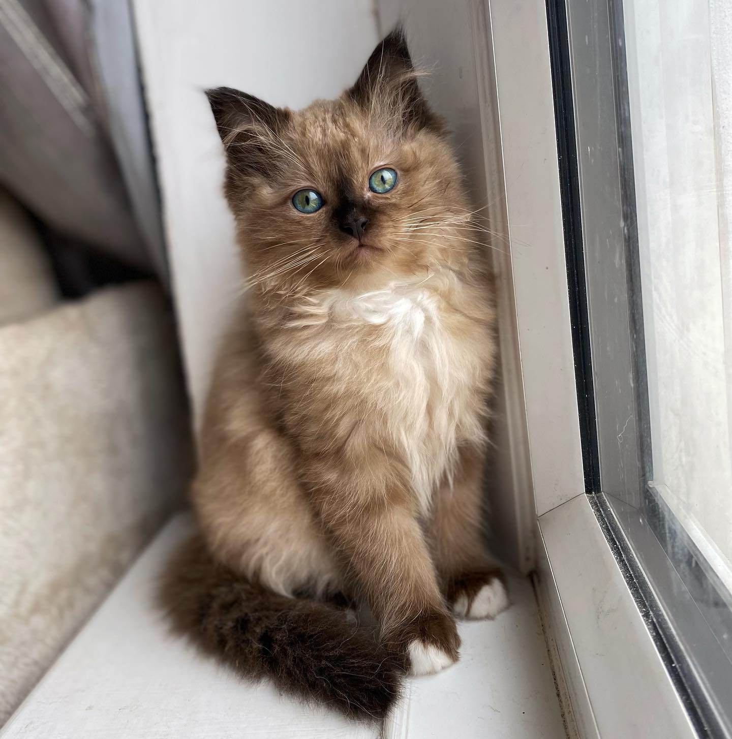 WhatsApp Image 2024-12-23 at 23.43.38