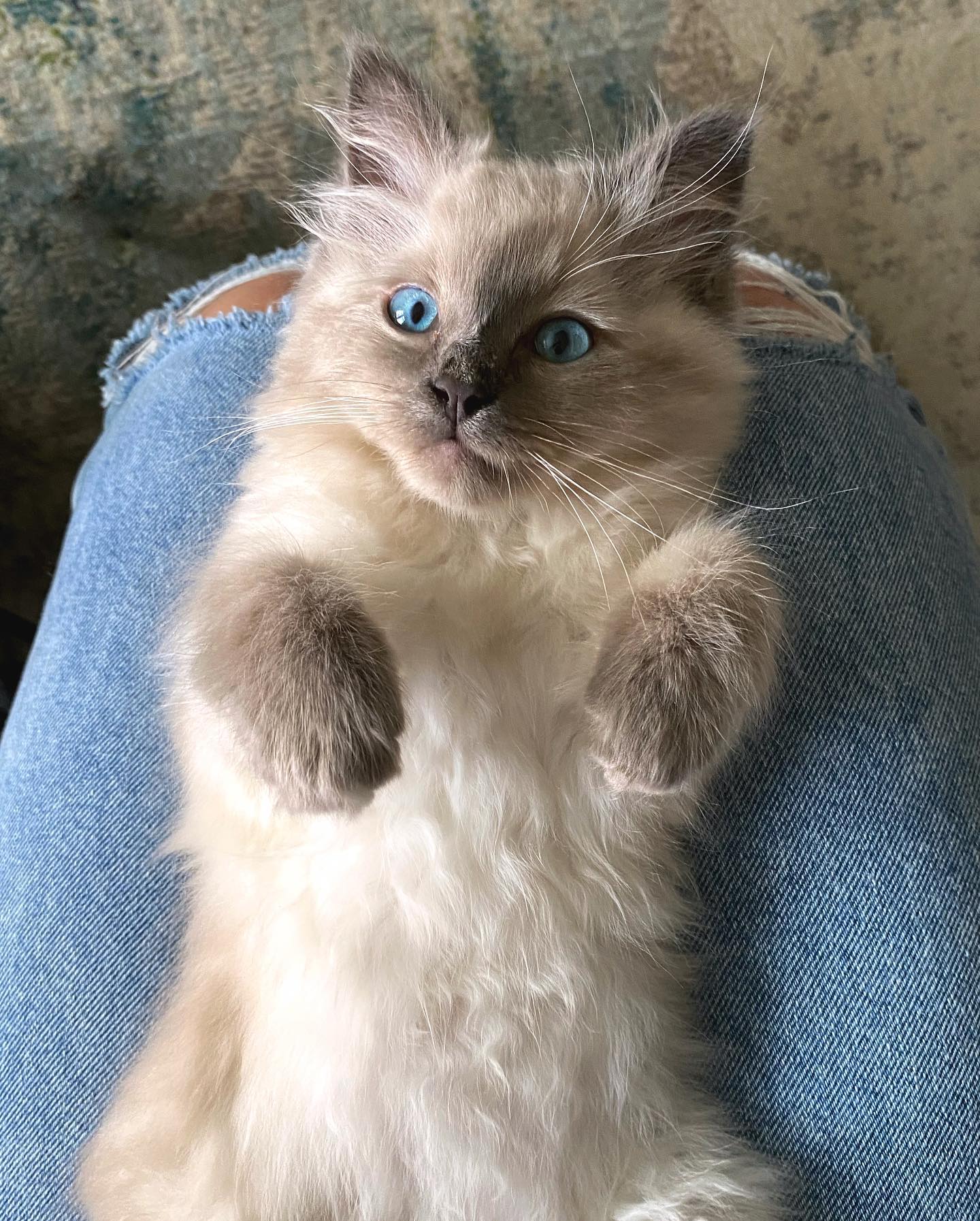 WhatsApp Image 2024-12-23 at 23.43.39